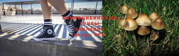 синтетический гашиш Белокуриха