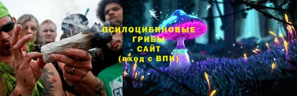 дурь Беломорск